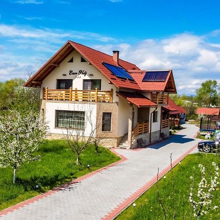 Casa Nely Hotel Sighetu Marmaţiei Buitenkant foto