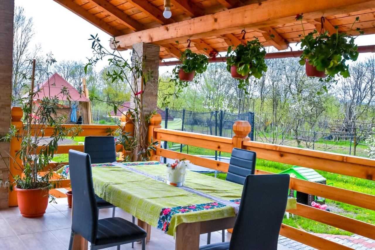 Casa Nely Hotel Sighetu Marmaţiei Buitenkant foto