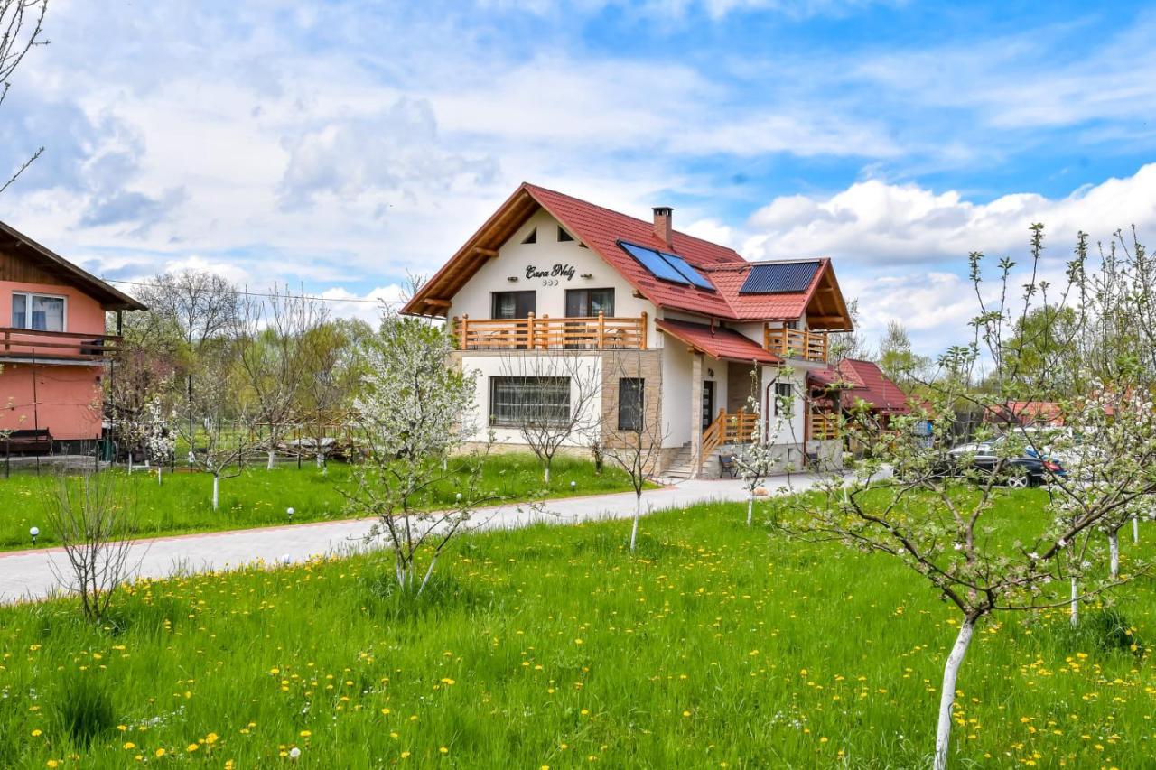 Casa Nely Hotel Sighetu Marmaţiei Buitenkant foto