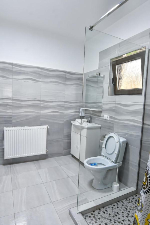 Casa Nely Hotel Sighetu Marmaţiei Buitenkant foto